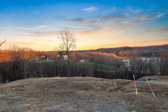 Listing photo 2 for River Trace Dr, Dover TN 37058