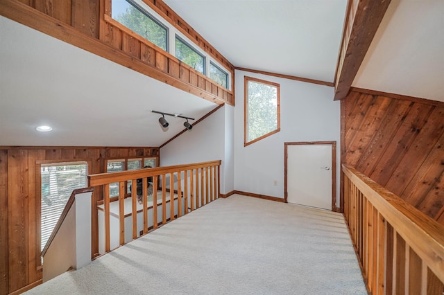 interior space with vaulted ceiling, carpet, wood walls, and rail lighting