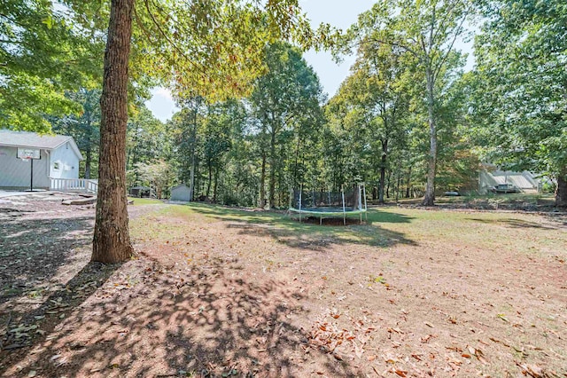 view of yard with a trampoline