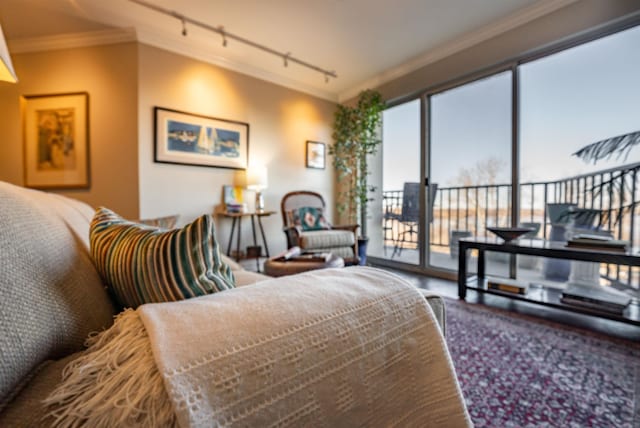 bedroom featuring track lighting, crown molding, and access to outside