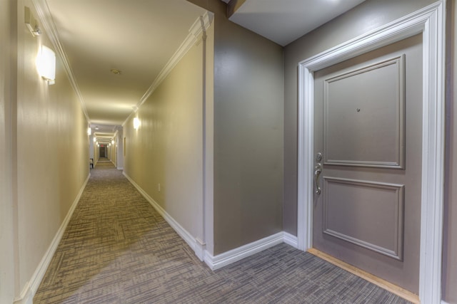 hall with crown molding and carpet