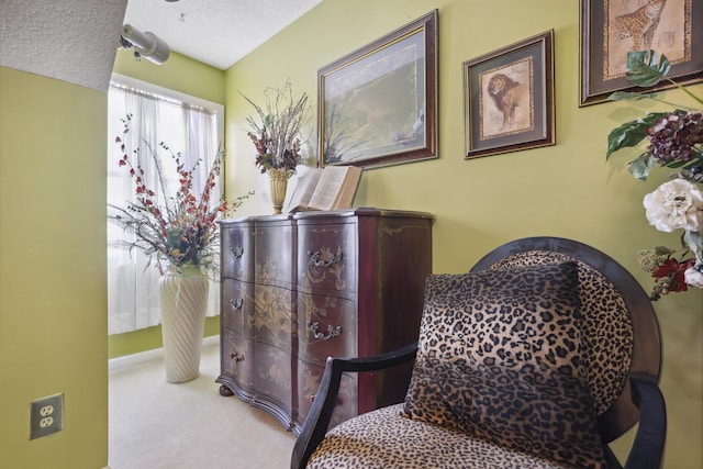 sitting room featuring light carpet and a textured ceiling