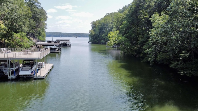 dock area featuring a water view