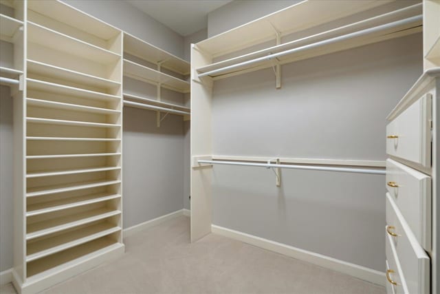 walk in closet with light carpet