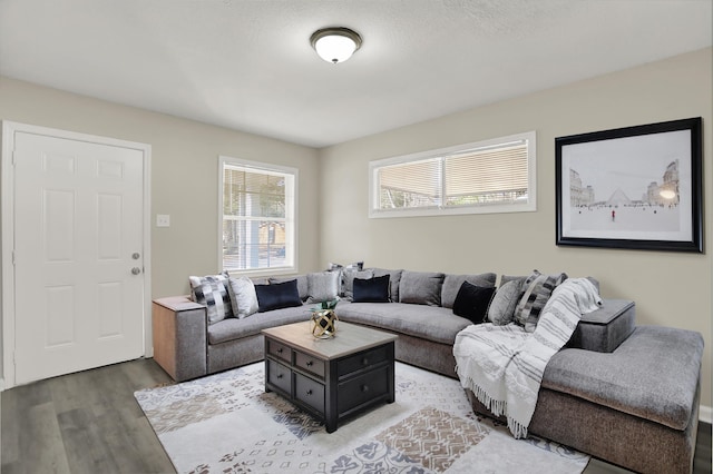 living room featuring hardwood / wood-style floors and a textured ceiling