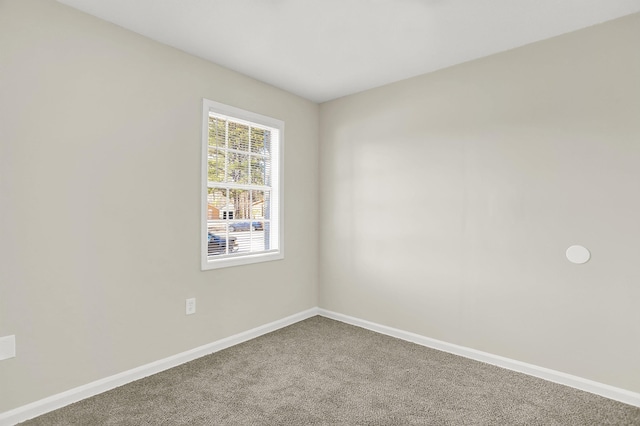 empty room featuring carpet