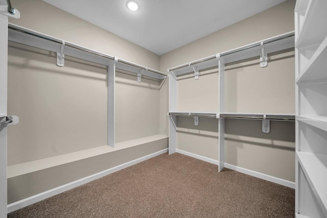 spacious closet featuring carpet floors