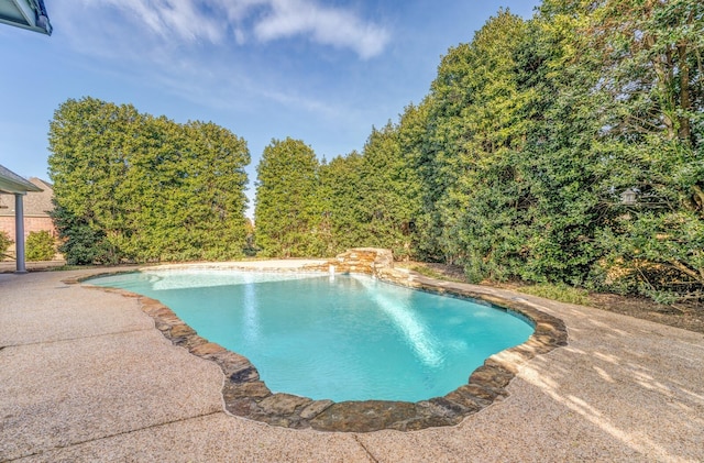 view of swimming pool with a patio