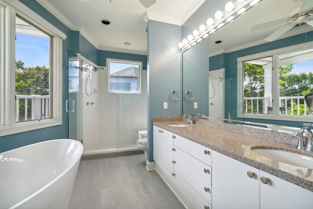 full bathroom with plus walk in shower, toilet, a wealth of natural light, and vanity