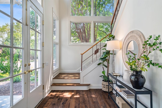 doorway to outside featuring french doors and dark hardwood / wood-style flooring