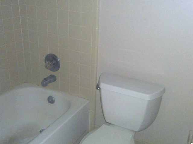 bathroom featuring toilet