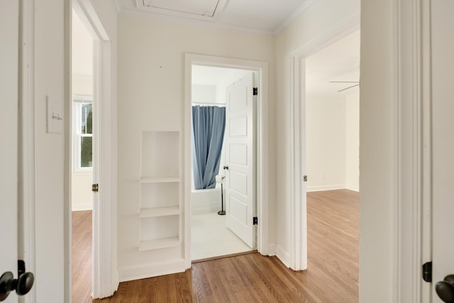 hallway with hardwood / wood-style flooring and ornamental molding