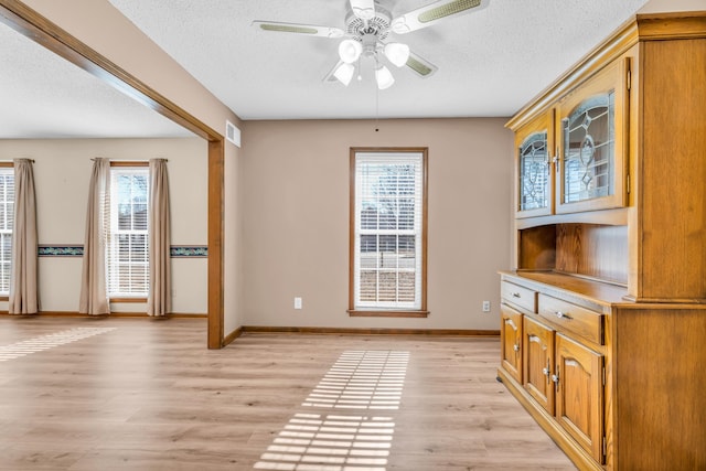 entryway featuring ceiling fan, a wealth of natural light, and light wood-type flooring