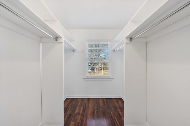 walk in closet featuring dark hardwood / wood-style flooring