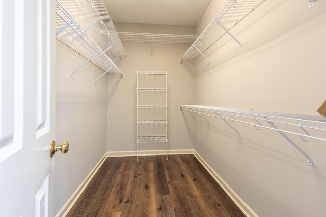 spacious closet with dark hardwood / wood-style flooring