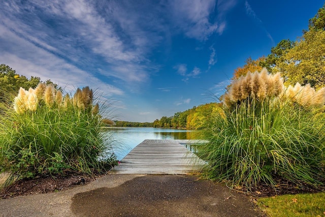 view of dock with a water view