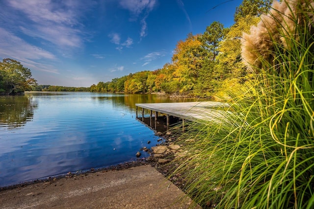 view of dock with a water view