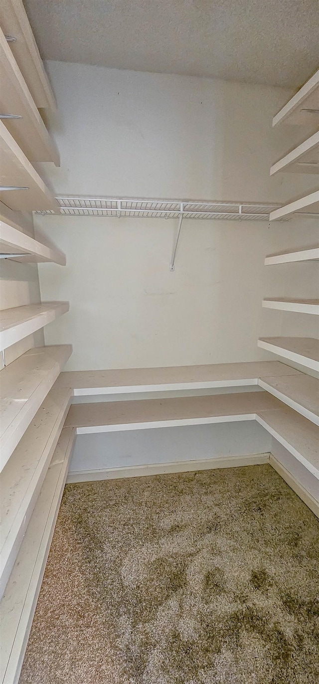 spacious closet featuring carpet flooring