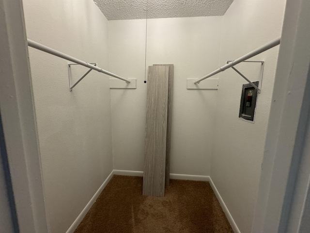 walk in closet featuring dark colored carpet