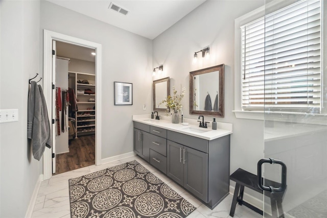 bathroom featuring vanity and a wealth of natural light