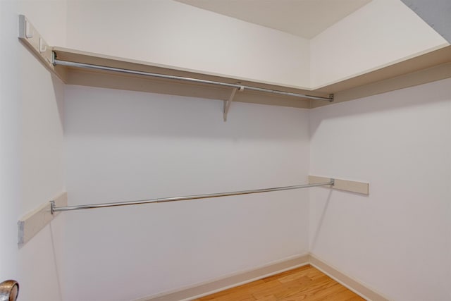 spacious closet with hardwood / wood-style flooring