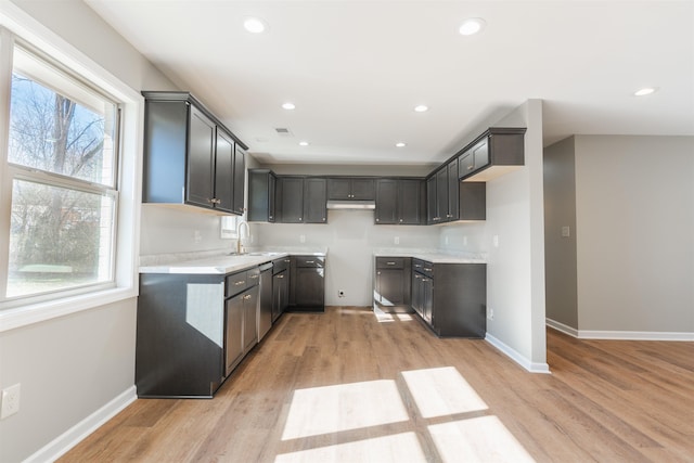 kitchen with sink, a healthy amount of sunlight, and light wood-type flooring