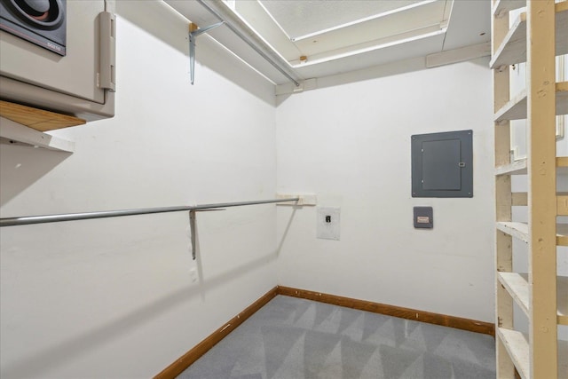 spacious closet featuring carpet flooring and electric panel