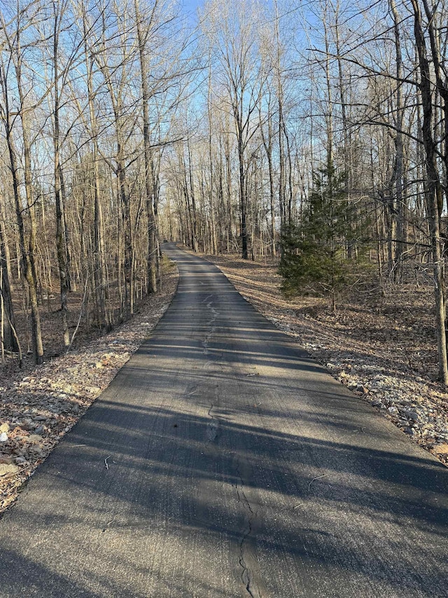 view of road