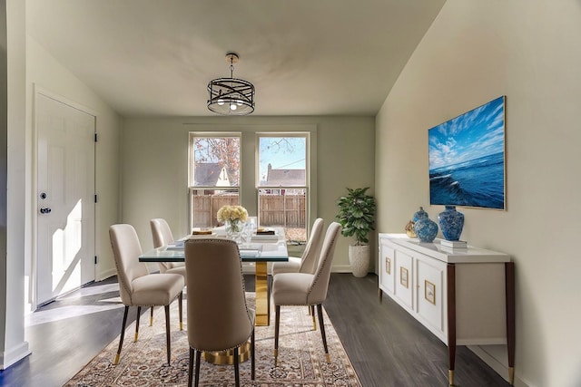 dining room with dark hardwood / wood-style floors