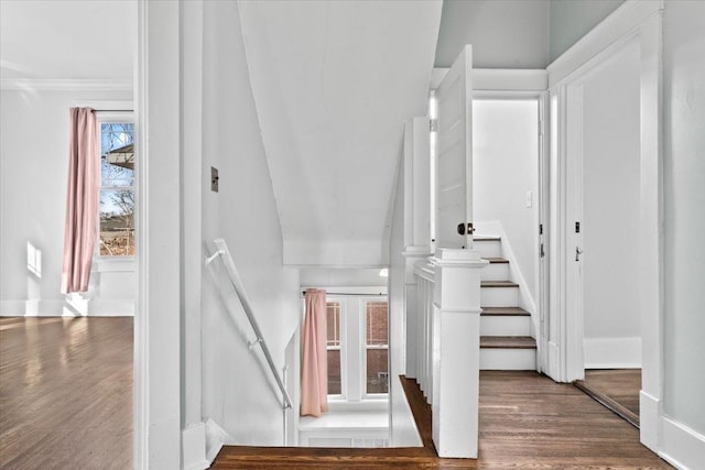 stairs featuring hardwood / wood-style flooring