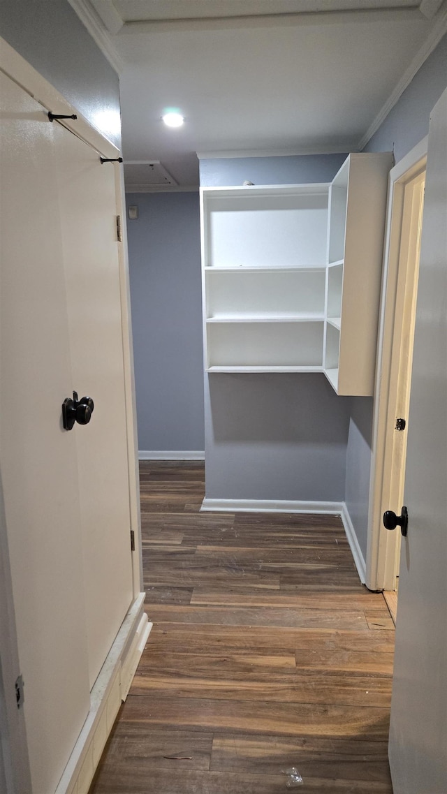 spacious closet featuring dark hardwood / wood-style flooring