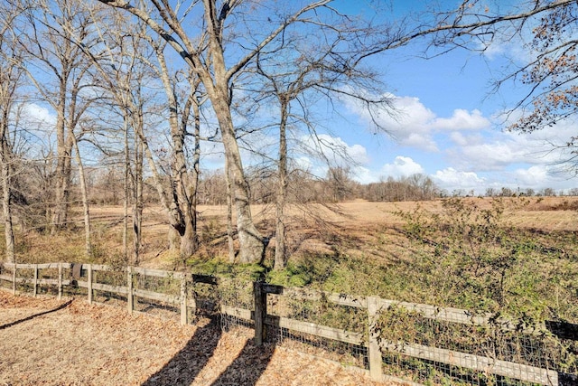 view of yard featuring a rural view