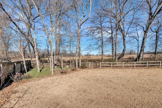 view of yard with a rural view