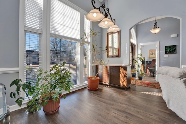 dining room with dark hardwood / wood-style flooring