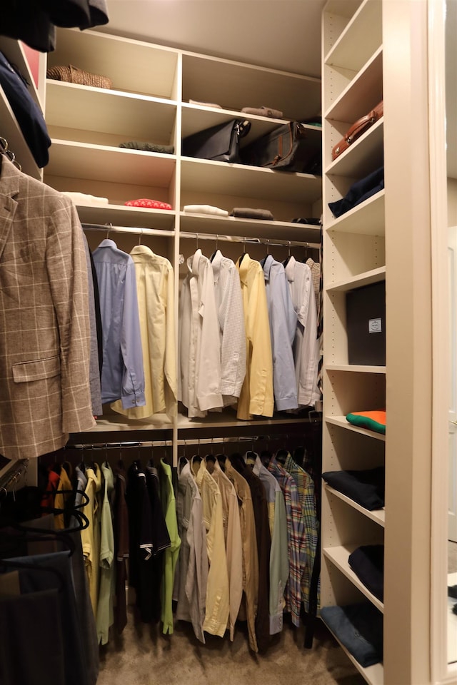 spacious closet with carpet floors