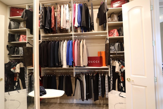 view of spacious closet