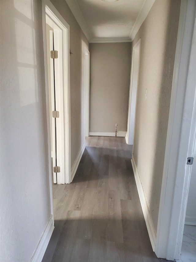 hallway with wood-type flooring and crown molding