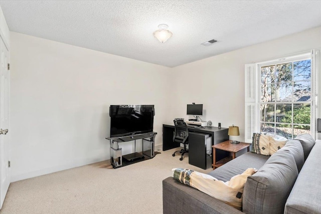 living room with a textured ceiling and carpet