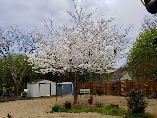 view of yard with a storage shed