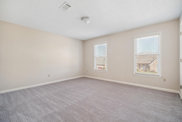 empty room with a wealth of natural light, light colored carpet, and a textured ceiling