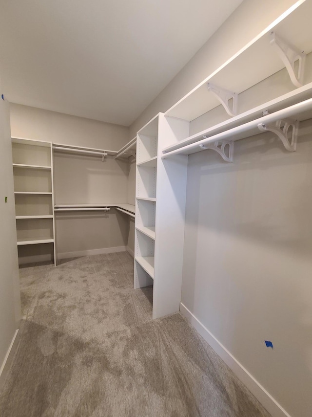 walk in closet featuring light carpet