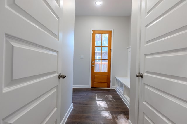 doorway to outside with dark wood-type flooring