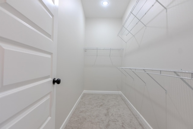 spacious closet featuring light colored carpet