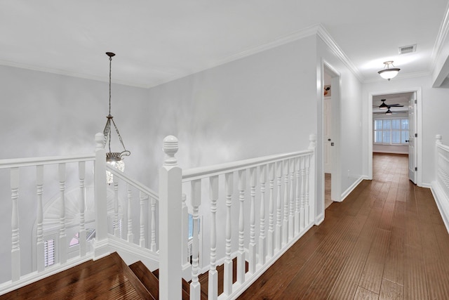 hallway with crown molding and dark wood-type flooring