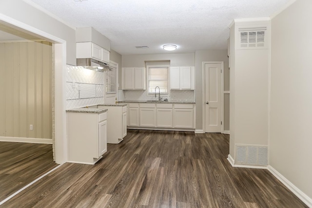 kitchen featuring sink, white cabinets, light stone countertops, dark wood-type flooring, and a textured ceiling