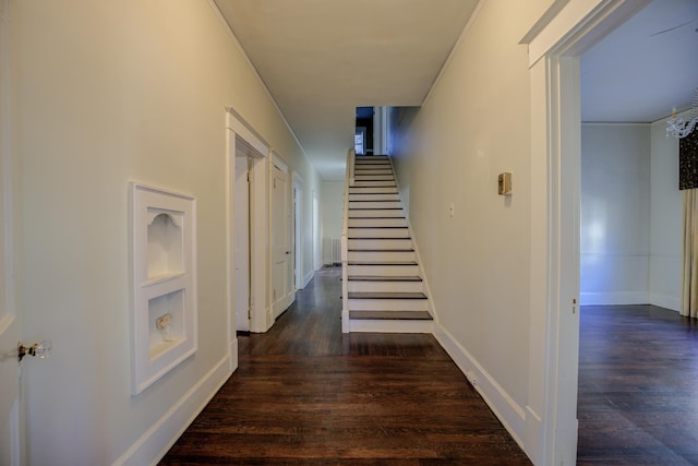 corridor with dark hardwood / wood-style flooring