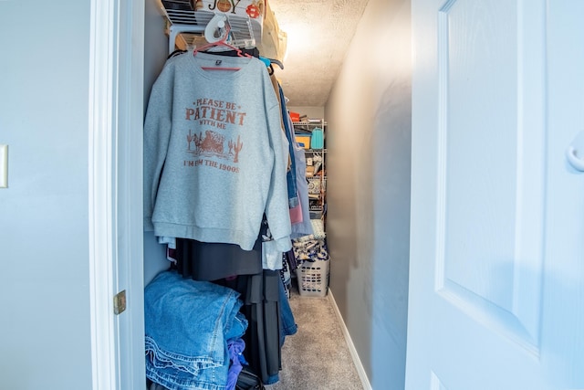 spacious closet with carpet floors