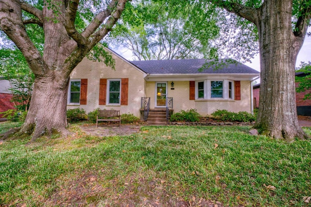 view of front of house with a front yard