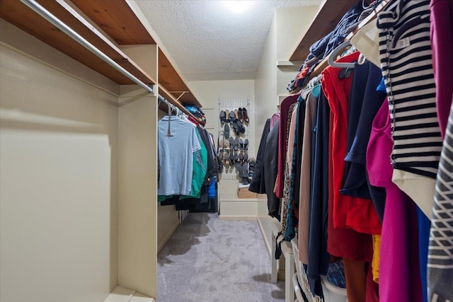 walk in closet featuring light colored carpet