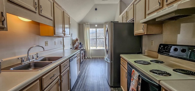 kitchen featuring sink, stainless steel appliances, dark hardwood / wood-style floors, light brown cabinetry, and vaulted ceiling